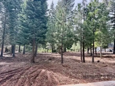 Lake Almanor Corner Lot