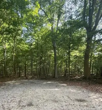 Wooded Agricultural Land