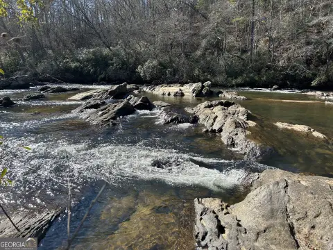 85 Acres Riverfront Land in Demorest