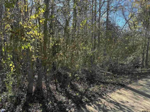 Residential Lot in Bullard, TX