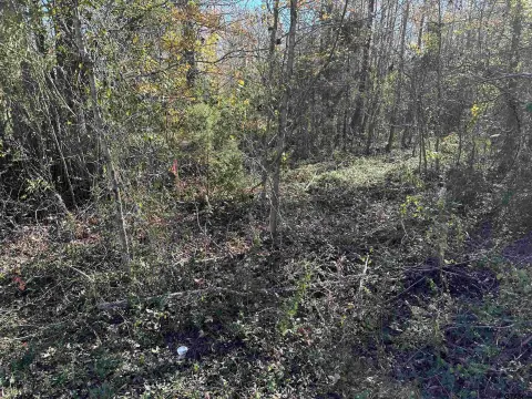 Residential Lot in Bullard, TX