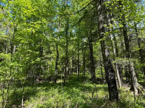 Maine, WI - 11 Acres