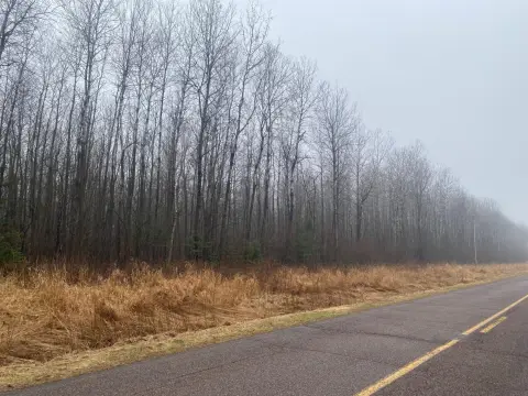 116 Acres of Forestland in Ogema