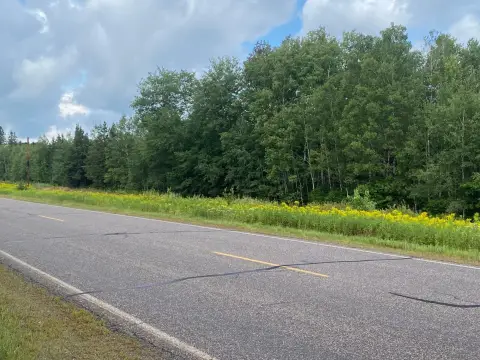 Heavily Wooded Recreational Land