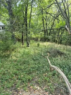 Eureka Springs Wooded Residential Lots