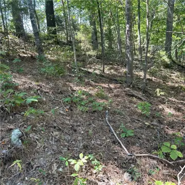 Secluded Land Near Hobbs Park