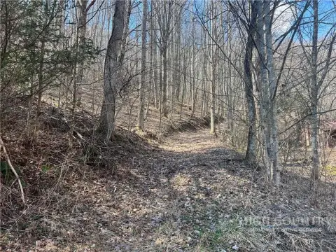 Wooded Hunting Land