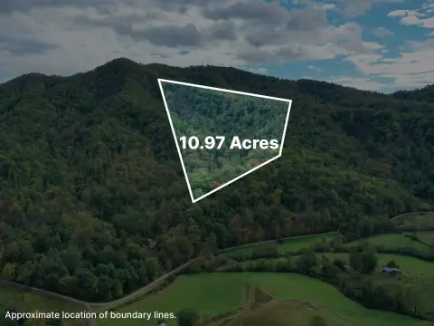 LOVINGSTON, VA Building Lots