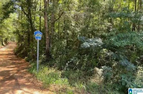 20-Acre Land Parcel in Clanton