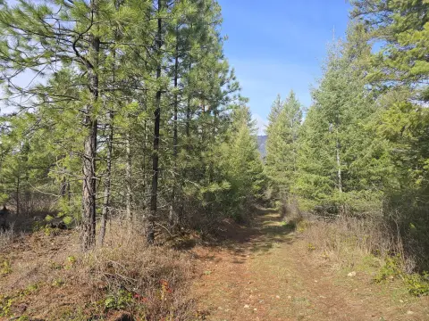 Land Parcel in Colville, WA