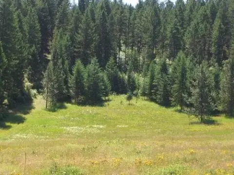 20 Acres Land Near Colville