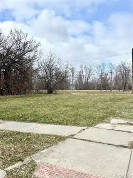 Detroit Vacant Land Opportunity