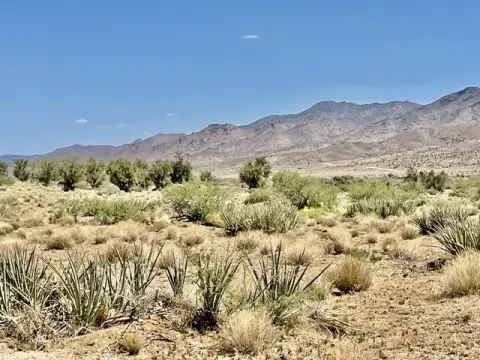 Kingman Land with Mountain Views