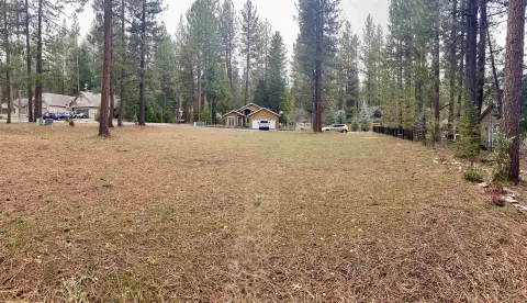Large Lot in Plumas Pines