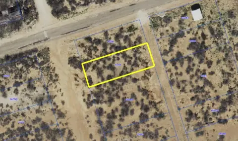 Commercial Lot in Pyote, TX