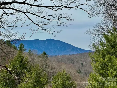 Unrestricted Land Near Blue Ridge Parkway