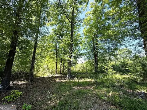 Elberton, GA Land Parcel