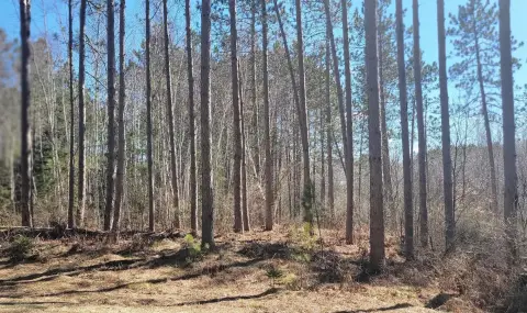 Land in Winter, Wisconsin