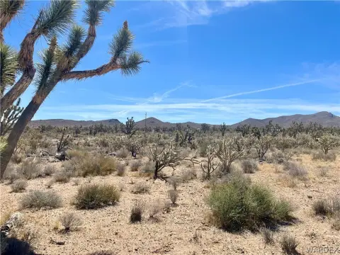 Dolan Springs Land with Views
