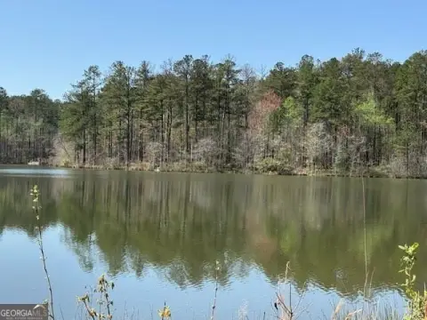 Lakefront Land in Newnan, Georgia