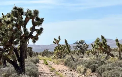 Meadview, AZ Recreation Land Parcel