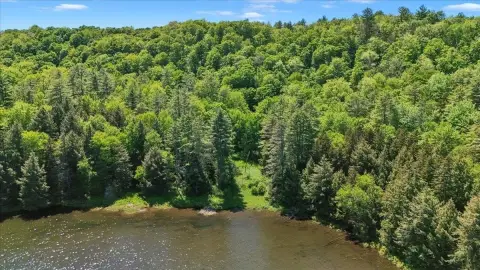 Waterfront Land with Direct Shoreline