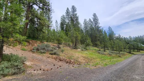 Wooded Recreation Land with Two Terraces