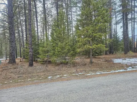 Scenic Lot with Hiking Trail