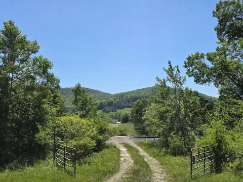 Recreational Timber Tract with Roads