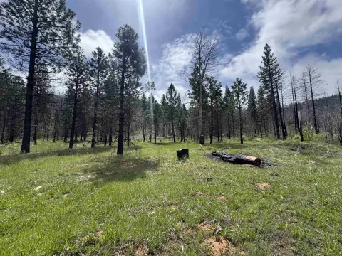 Greenville Land with Creek