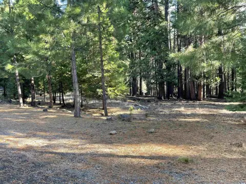 Lake Almanor Land Opportunity