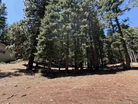 Lake Almanor Residential Lot