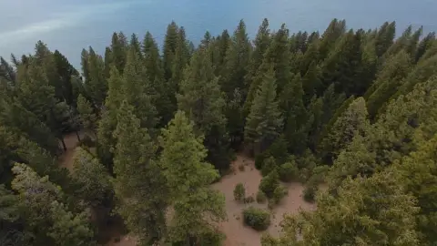Lake Almanor Private Acreage