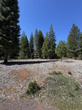 Land in Lake Almanor