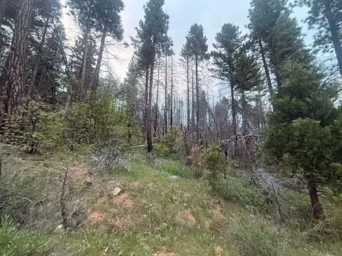Acreage in Indian Valley, CA