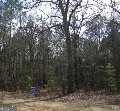 Elberton, GA Land Tract