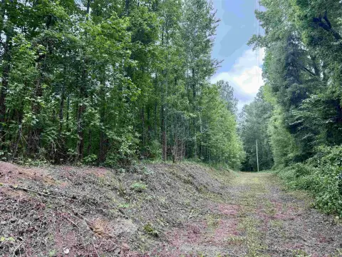 Recreational Hunting Tract with Water Control