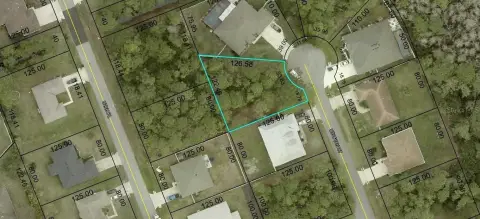 Residential Lot in Palm Coast