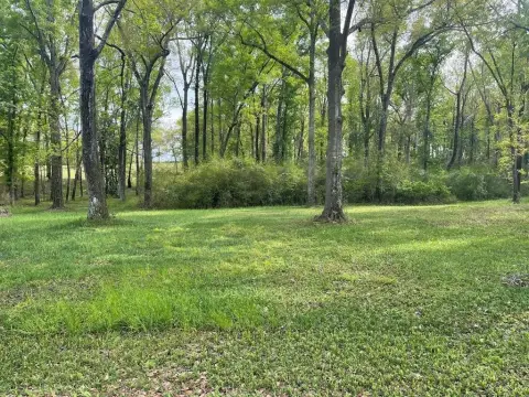 Residential Land in Kinsey, AL