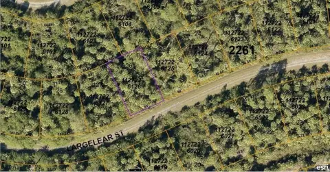 Residential Land in Growing North Port