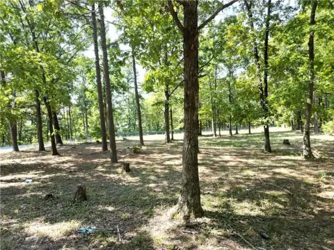 Land in Clinton, Arkansas