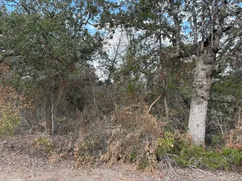 Serene Lot in Clear Lake Pines