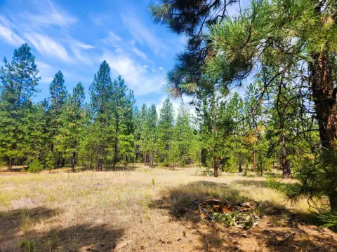 KETTLE FALLS Acreage Ready