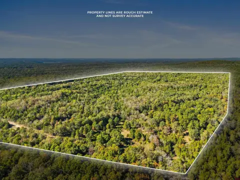 Wooded Hunting Land
