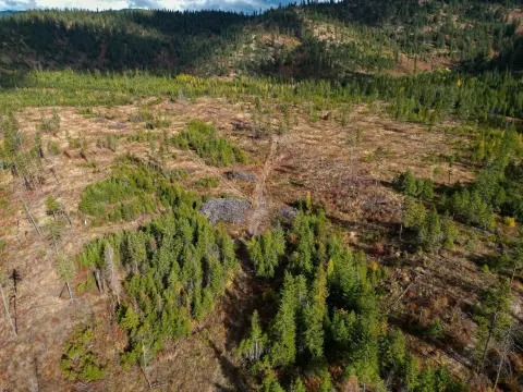 49.55 Acre Chewelah Land