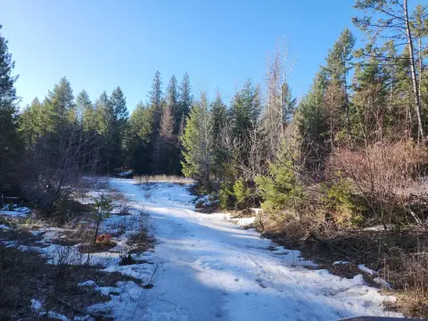 40 Acres Mountain Hideaway