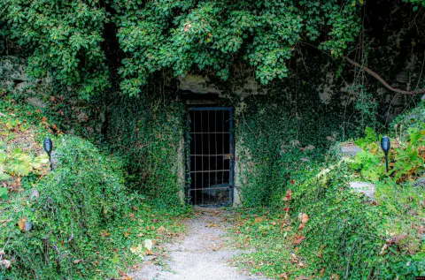 Cave Recreation Land with Log Cabin