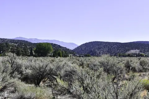 Serene Nevada Land with Creek