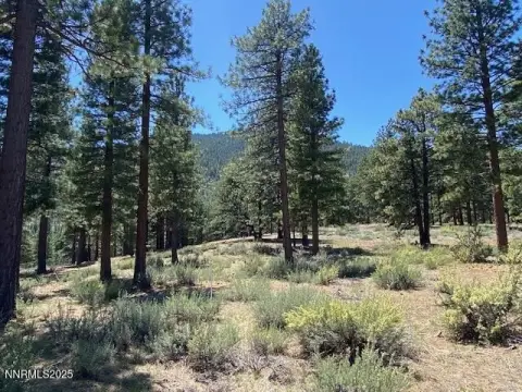 Land in Clear Creek Tahoe
