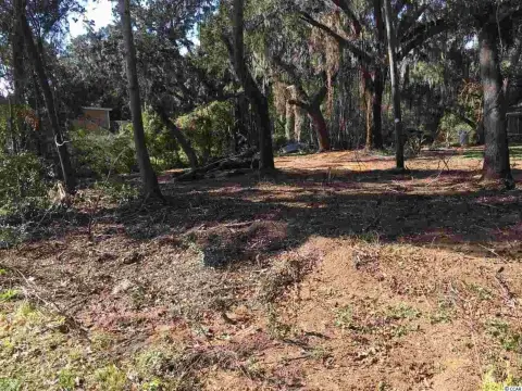 Pawleys Island Commercial Lot For Sale